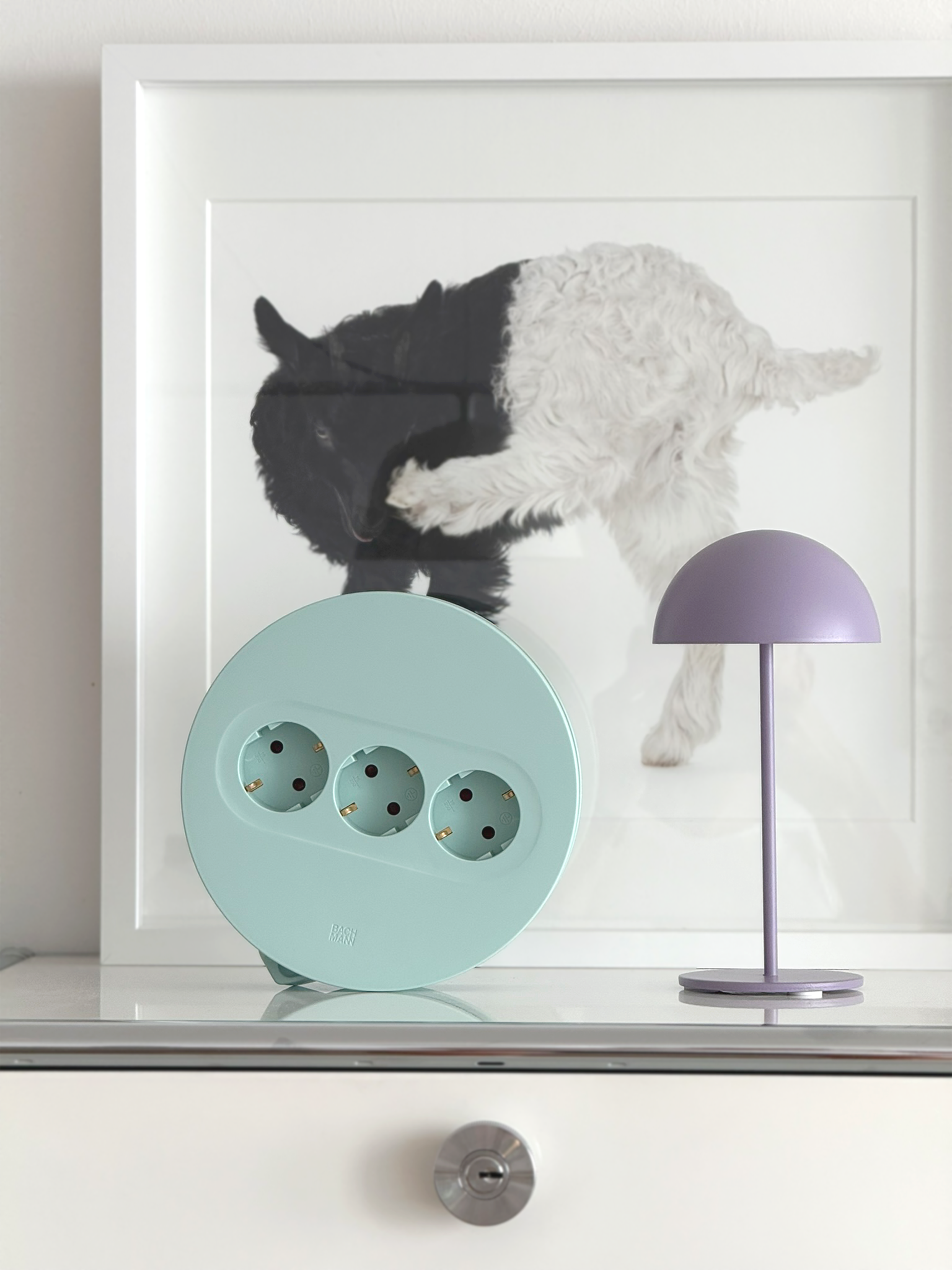 BACHMANN_IDAID_DOT_WHITE_GDA_SHEEP